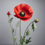 decoration mariage coquelicot