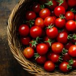 Découvrez la tomate grappe : un trésor pour votre potager et vos salades