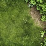 Comment éliminer efficacement les mauvaises herbes de votre pelouse pour un gazon sain